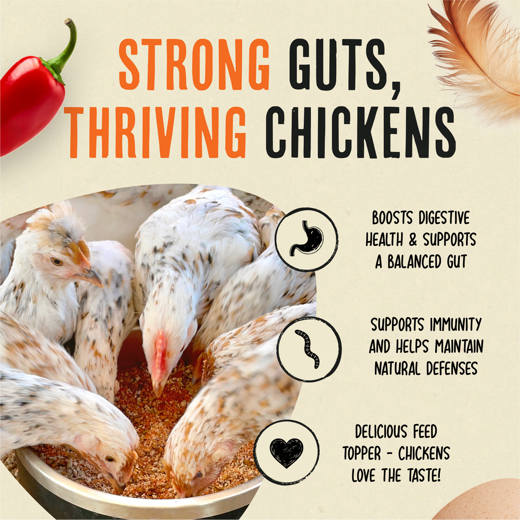 Flock Armor | Daily Chicken Dewormer | Flock Gut Support