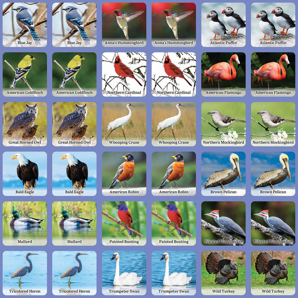 Audubon - Bird Matching Game