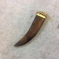 Brown Flat Tusk Natural Ox Bone Pendant with Dotted Gold cap
