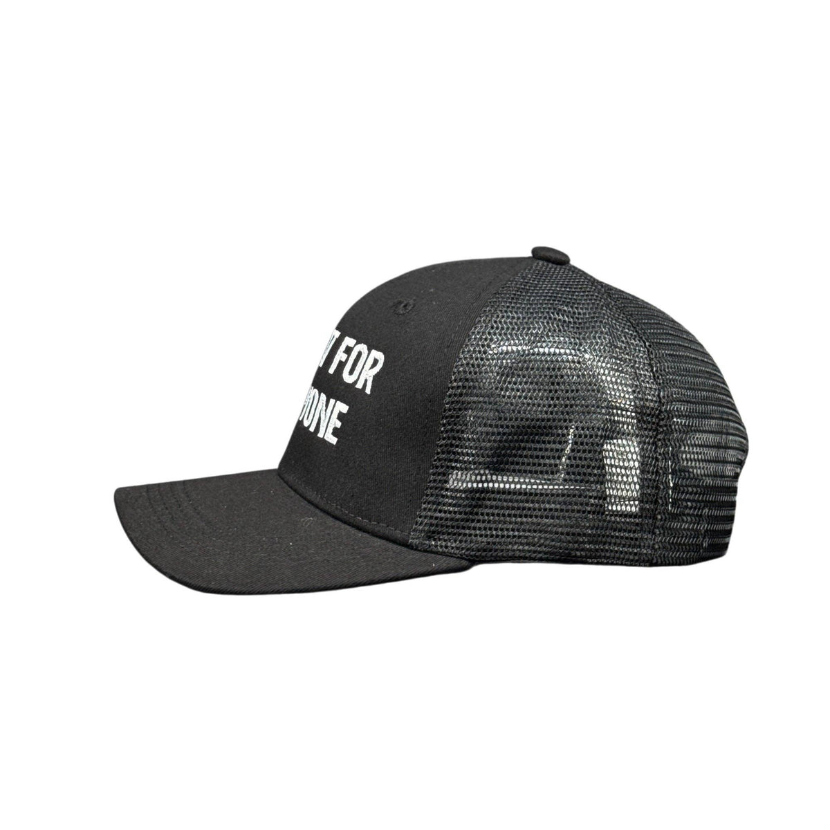 Im Not For Everyone Hat