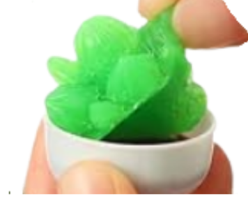 SUCCULENT SQUISHY
