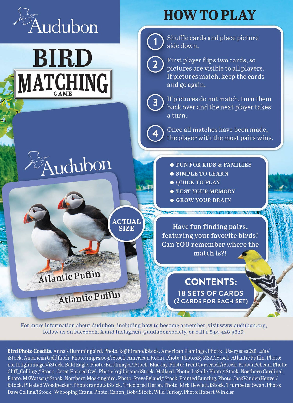 Audubon - Bird Matching Game