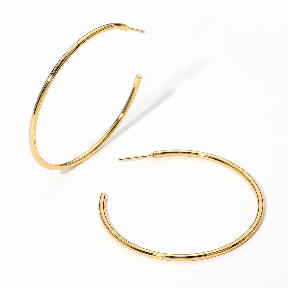 Stainless Steel Hoop Earrings