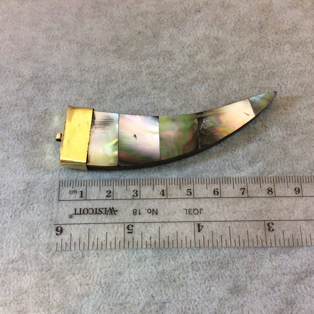 Abalone Shell Tusk Pendant | 85mm Flat Claw Charm | Gold Cap